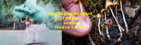 первитин Краснослободск